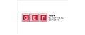 CEF - City Electrical Factors