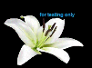 PAT_test