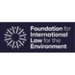 The File Foundation logo