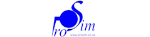 Simulation Solutions