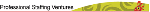 Professional Staffing Ventures