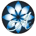 The Allure Group