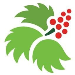 SouthEast Alaska Regional Health Consortium