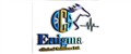Enigma Clinical Solutions
