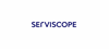 Serviscope AG jobs