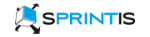 SPRINTIS Schenk GmbH & Co. KG jobs
