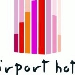 Airport Hotel Basel AG