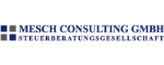 MESCH CONSULTING GMBH