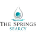 Company posting Licensed Practical Nurse; LPN or Registered nurse; RN - DSL Searcy job in Searcy, AR Arkansas, USA