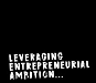 LEA Partners GmbH
