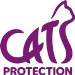 Company posting Assistant Shop Manager job in Caernarfon, Wales, UK